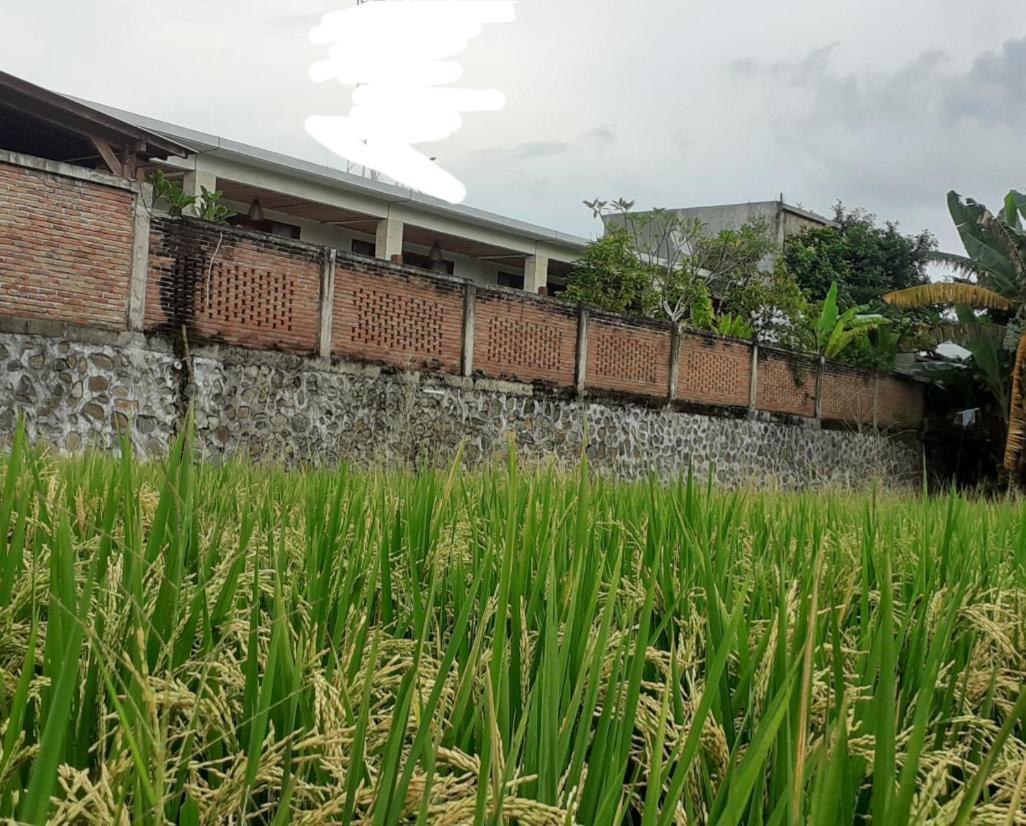 Surya Lombok Accommodation سيلونغ بيلاناك المظهر الخارجي الصورة