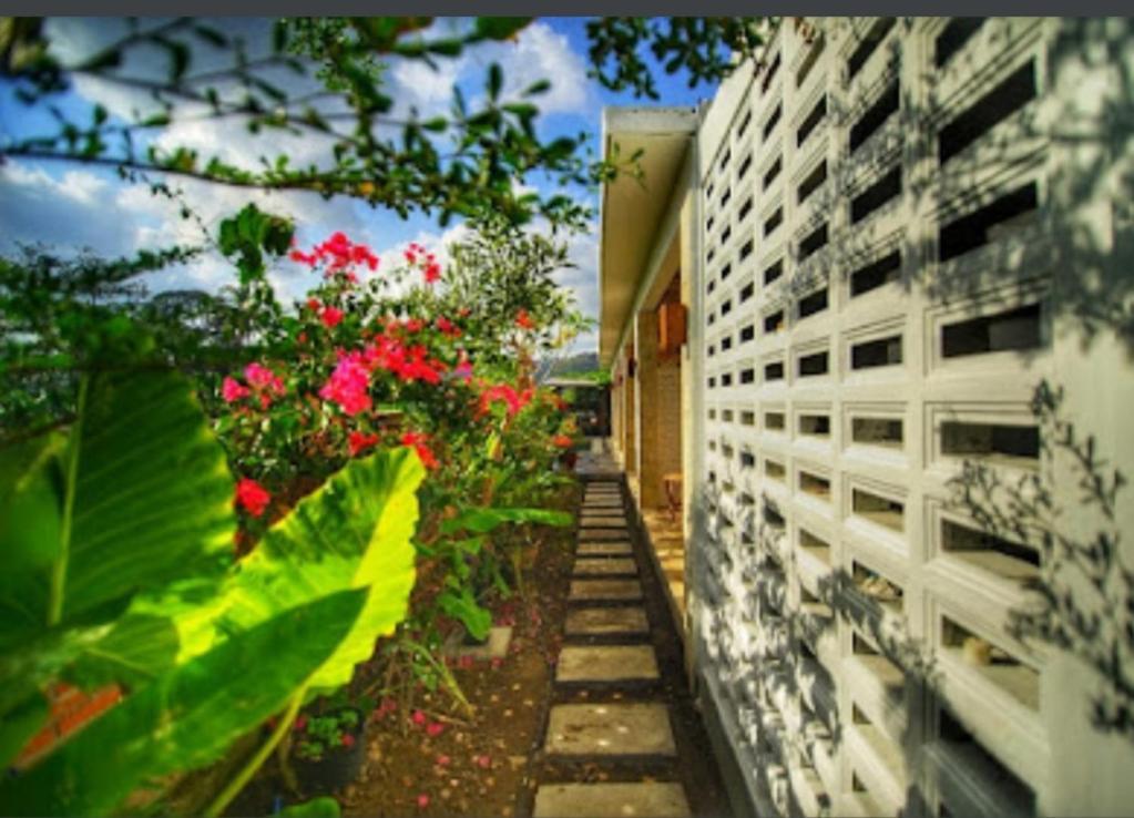 Surya Lombok Accommodation سيلونغ بيلاناك المظهر الخارجي الصورة